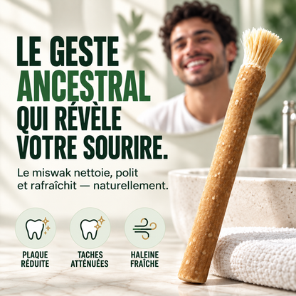 Miswak Éclat