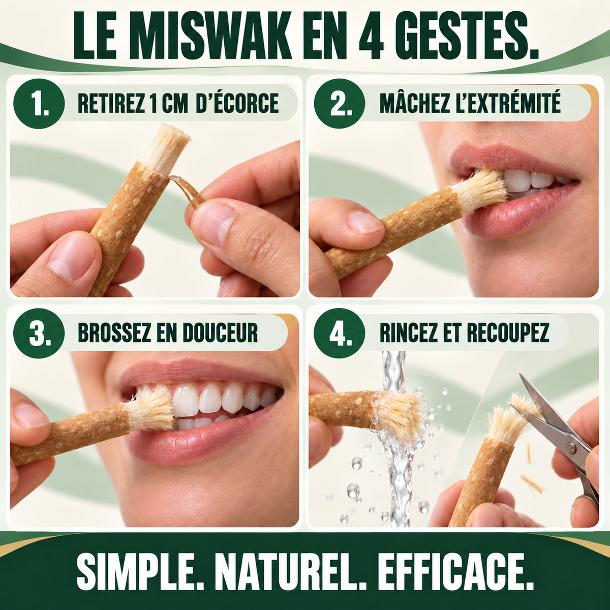 Miswak Éclat