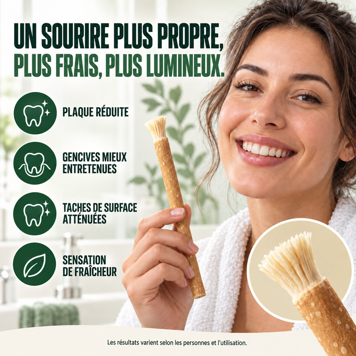Miswak Éclat