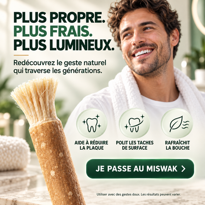 Miswak Éclat