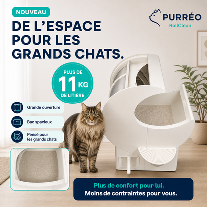 PURRÉO