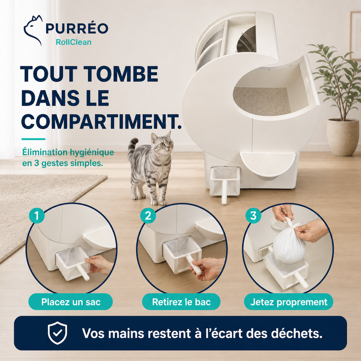 PURRÉO