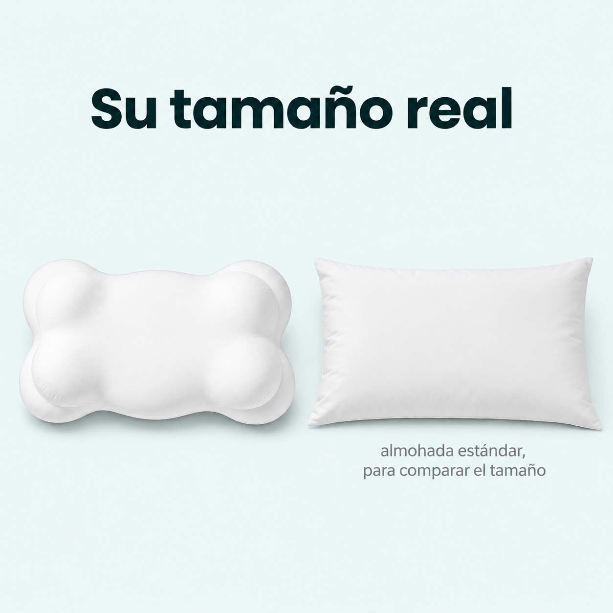 la taille réelle